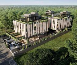 Palm Road (D15), Detached #466360871